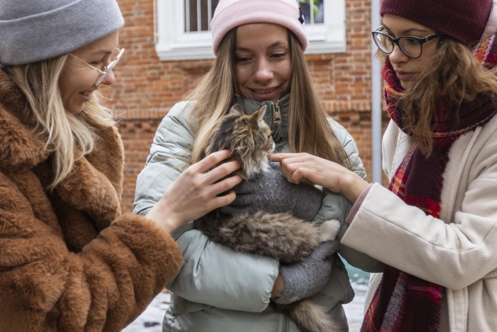 close-up-friends-with-cute-cat.jpg кошка